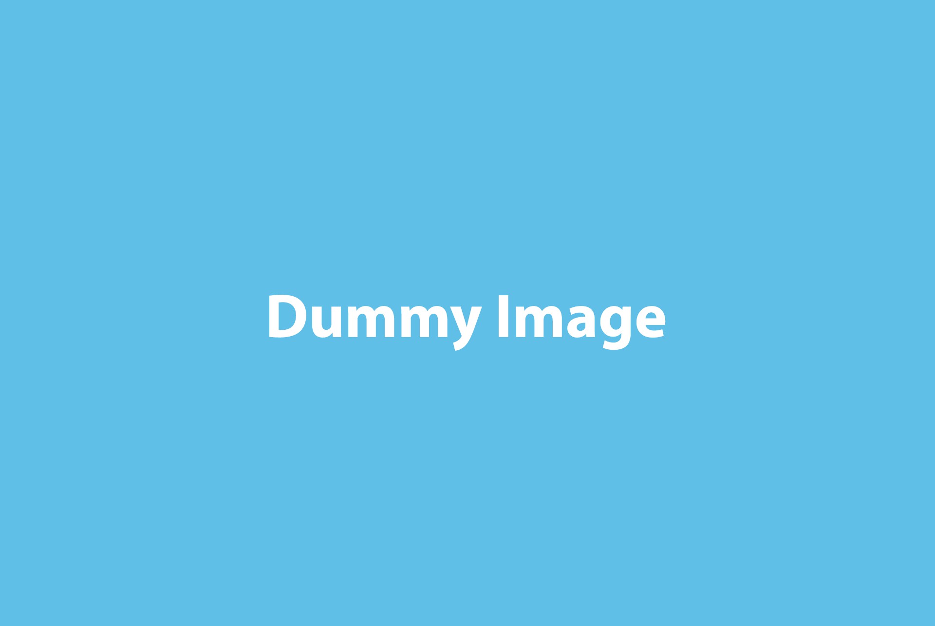 Owl Image