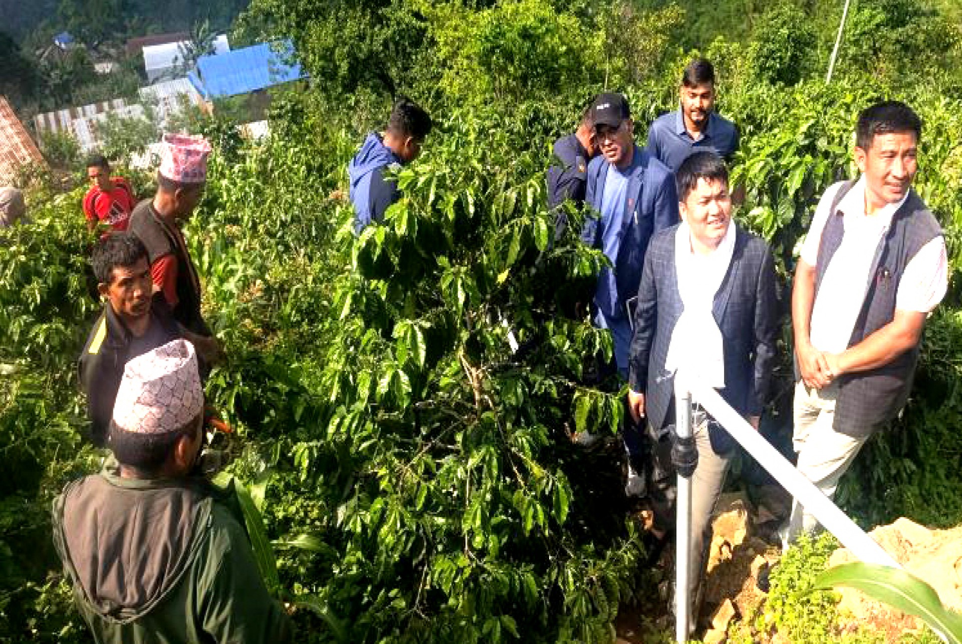 Generic placeholder image